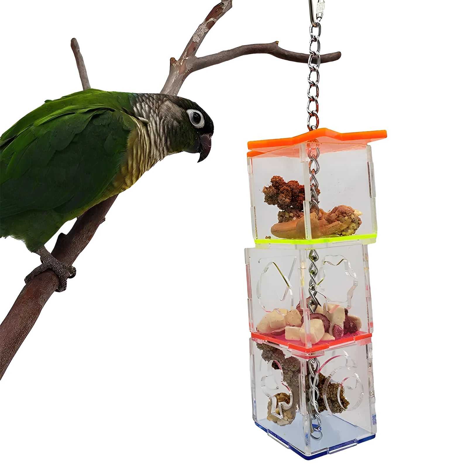 Clear acrylic parrot foraging toy measuring 5 cm by 5 cm by 32 cm for bird enrichment