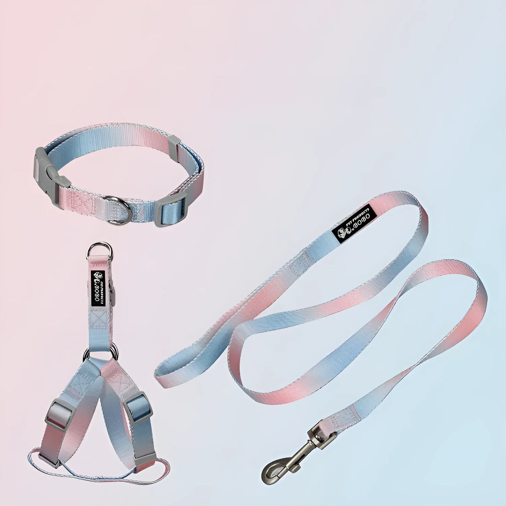 Pink and blue gradient nylon dog leash set with collar and chest strap harness on a white background.