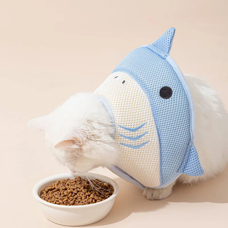 Soft cat recovery collar in shark shape made from nonwoven fabric, available in multiple sizes
