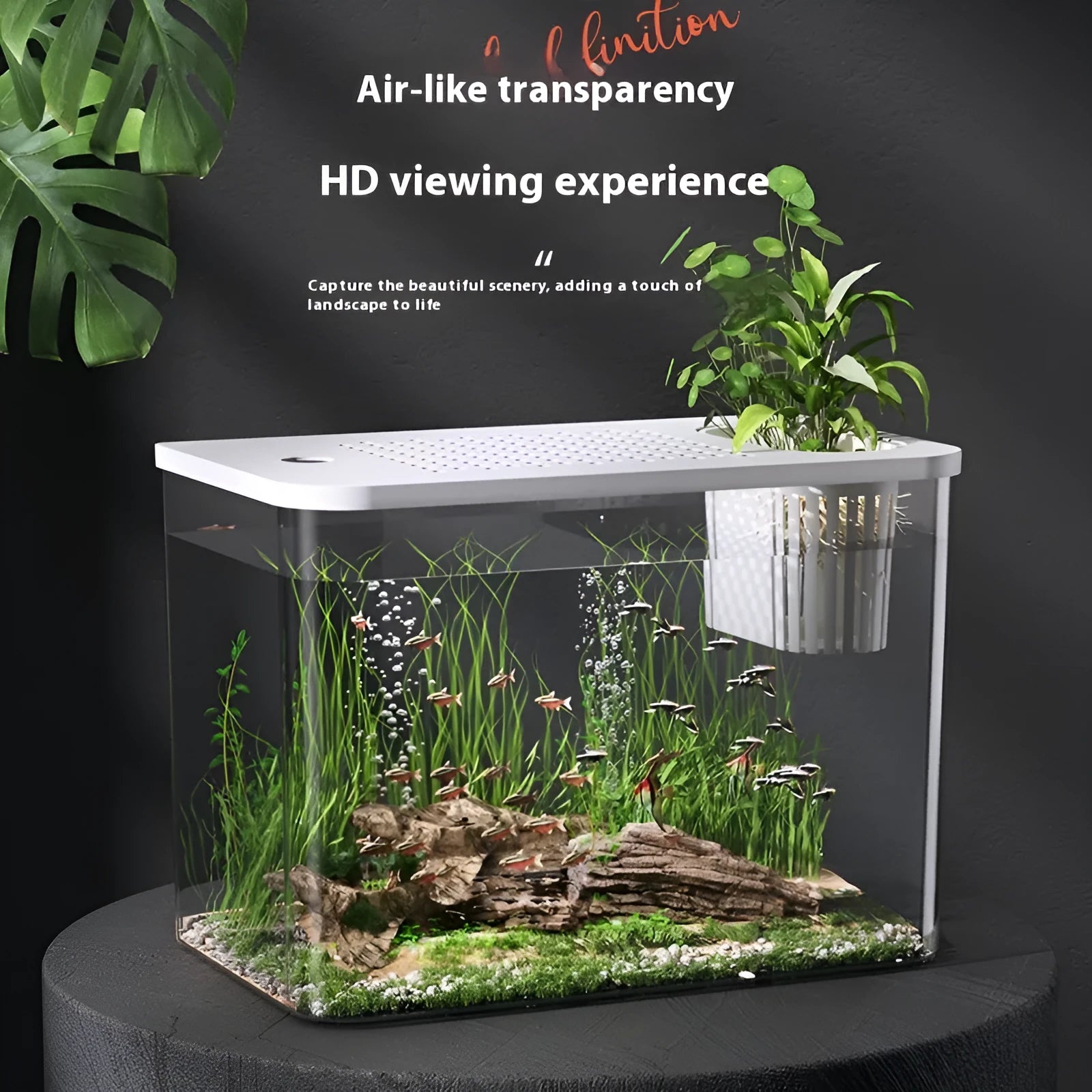 Plastic betta fish tank with transparent lid in black or white colours, dimensions 32cm long by 18.5cm wide by 23cm high