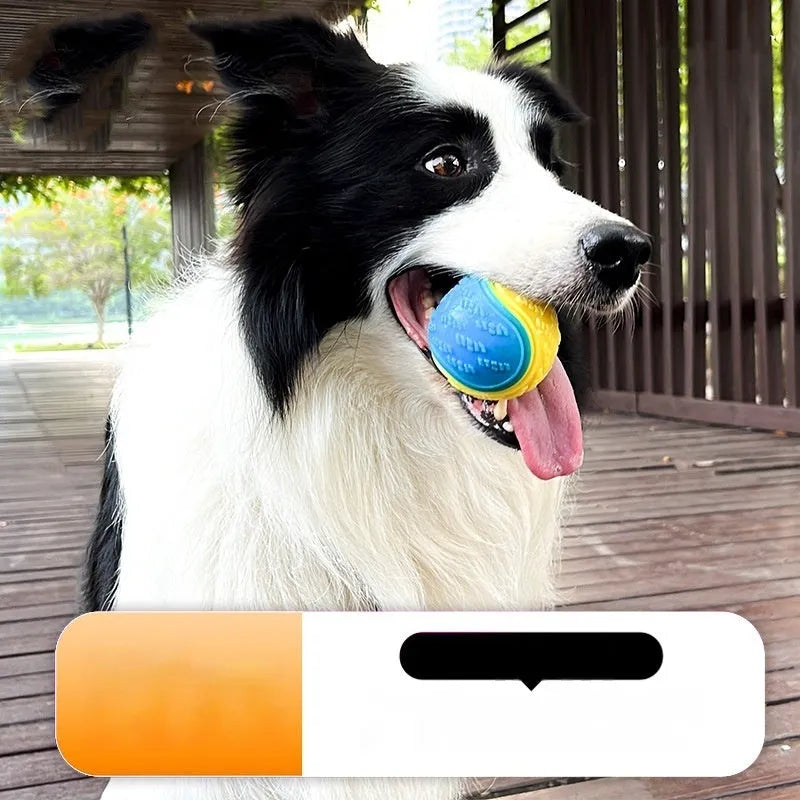 Pet Toy Dog Molar Long Lasting Sounding Training Ball in TPR rubber, 6.5 cm, red blue