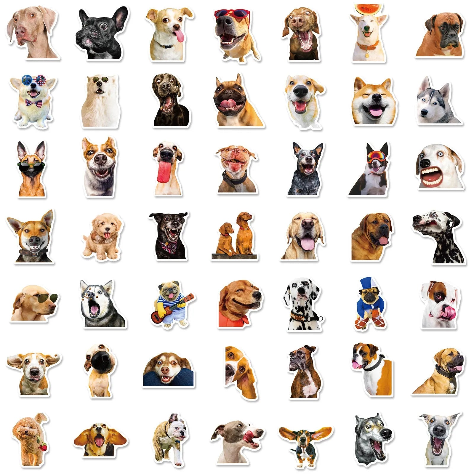 Realistic dog facial expression sticker pack with 100 sheets in Nordic style design