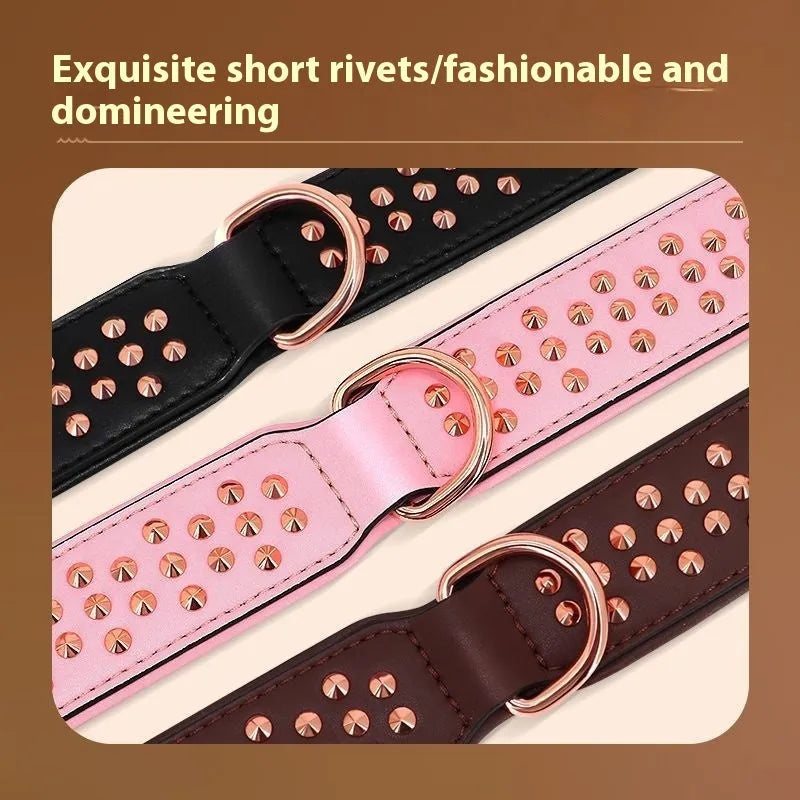 Leather dog collar with metal rivets in black, chocolate, or pink colour options