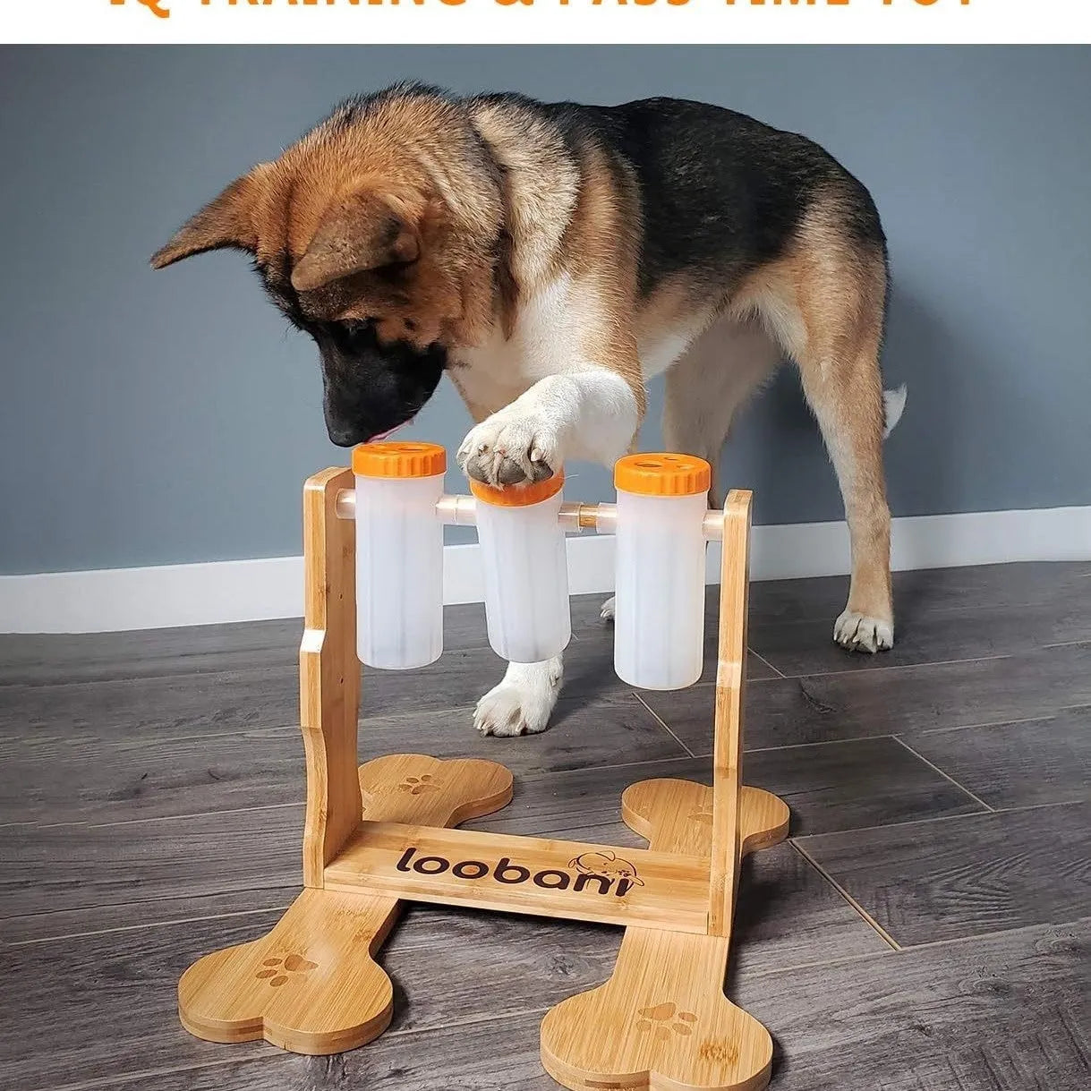 Natural wood colour dog puzzle toy feeder measuring 31cm by 30cm by 20cm