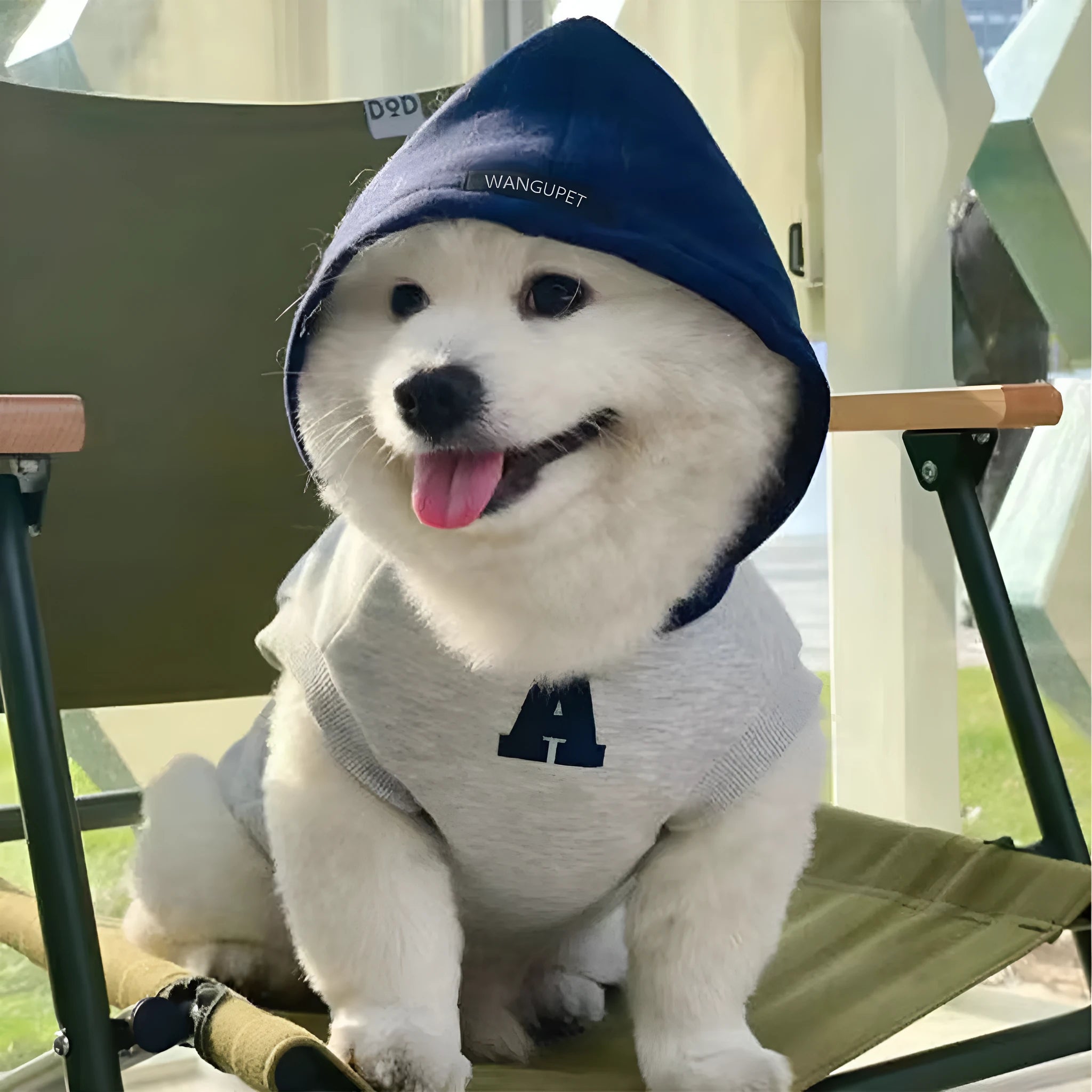 Blue polyester pet hoodie with reflective letters on a dog, slim-fitting design for cats and dogs