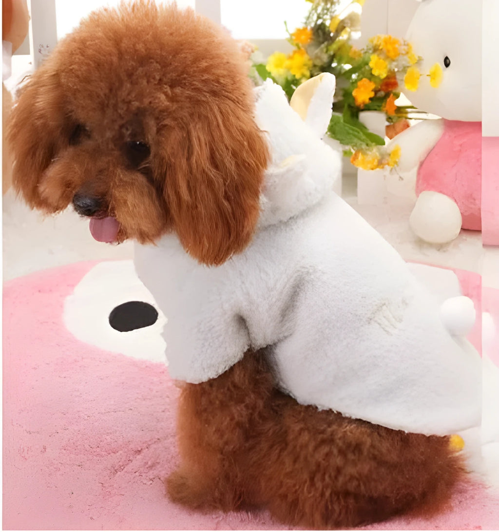 White pet sheep costume down jacket style for dogs on white background