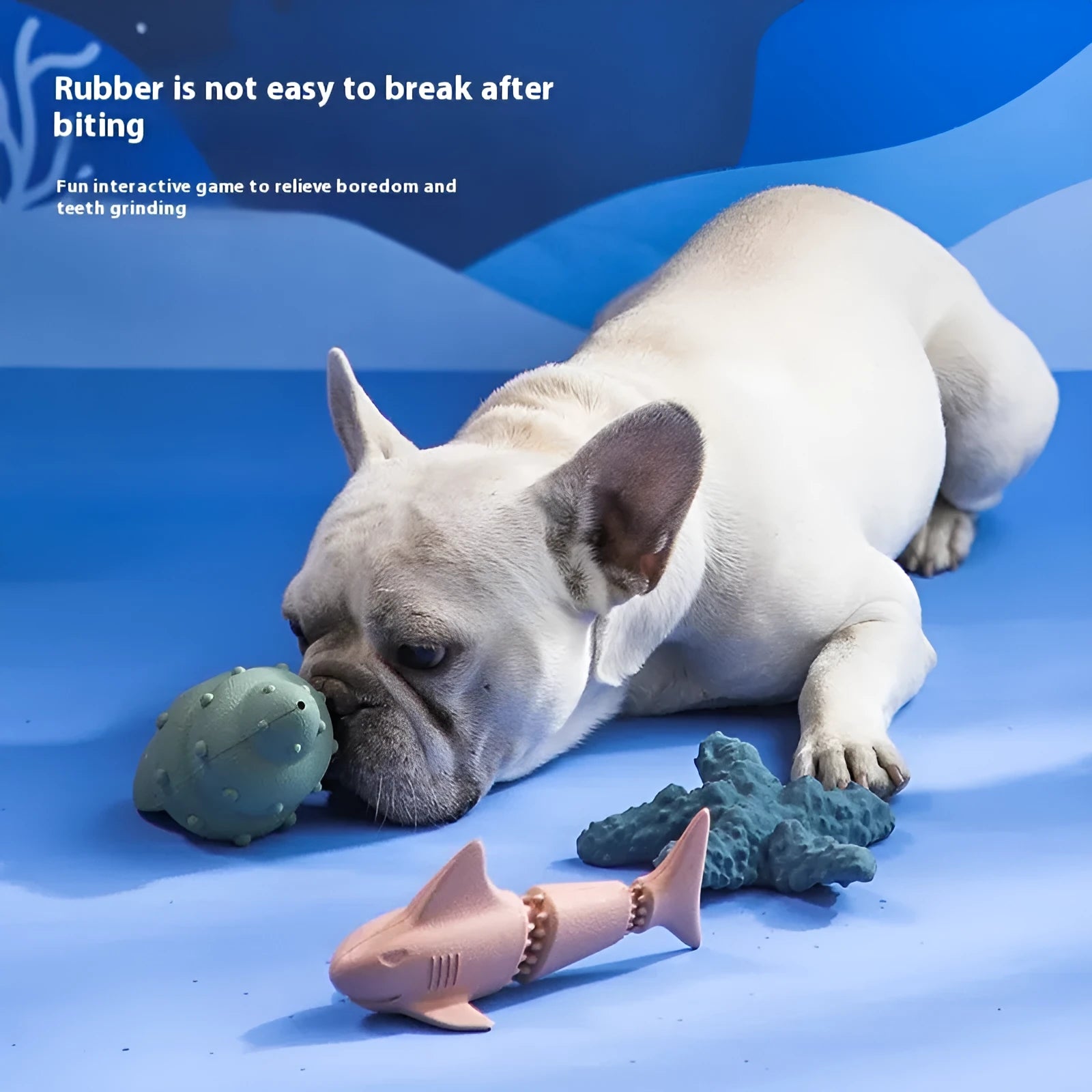 Blue and green rubber dog chew toy shaped like a deep sea shark, conch, and starfish.