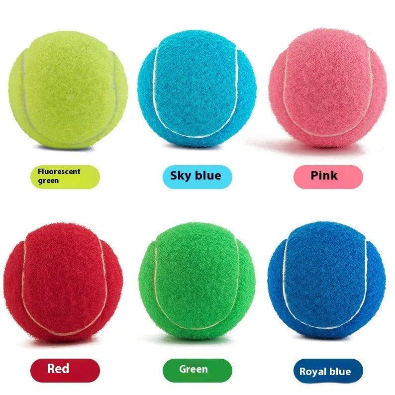 6.3cm diameter rubber dog tennis ball in assorted colours including blue, pink and green.