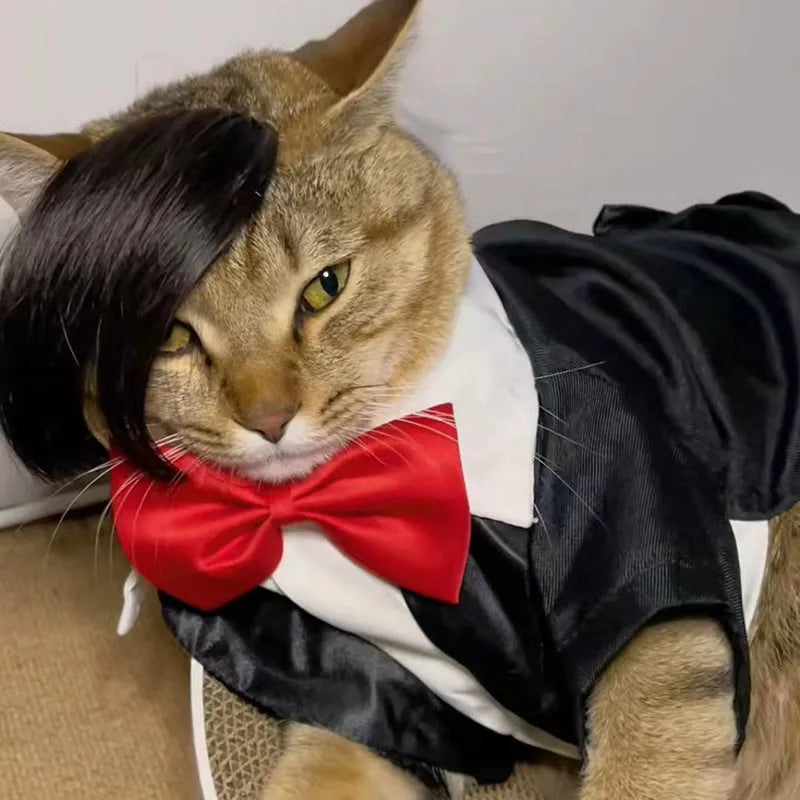 Black polyester cat wig with long imitation braid for fox costume dress up