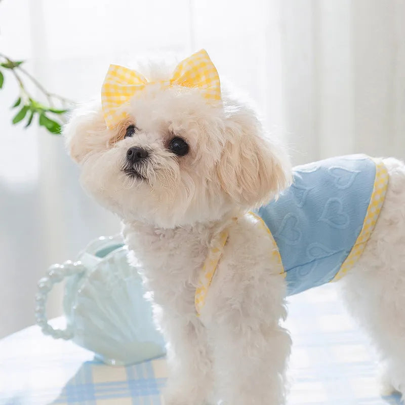 Small dog wearing a blue elastic vest with heart texture, suspenders, and a bow.