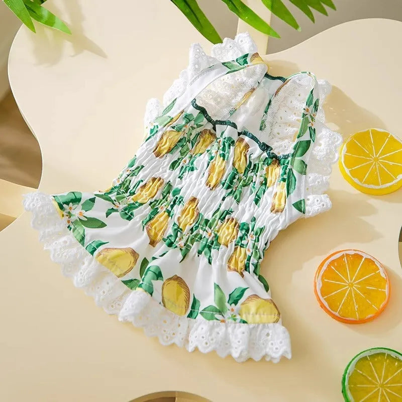 Thin breathable polyester strap dog skirt in Rock Yellow Lemon