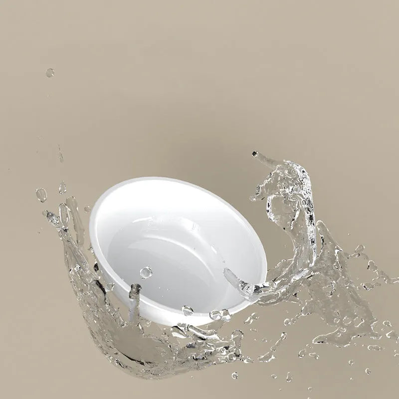 15-degree tilted stainless steel pet bowl for cats and dogs with PP base, available in green colour