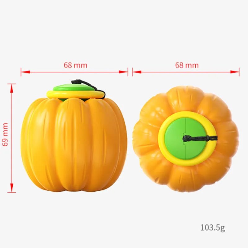 Small orange pumpkin-shaped dog chew toy with squeaker for puppy teething and training