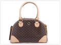 Anti-squeeze pet bag for small dogs and cats in PU embossing material brown white square size large 42x29x18cm