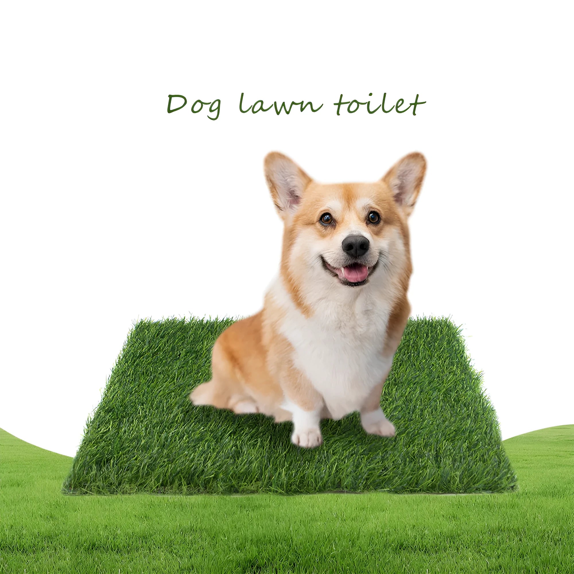 Washable pet lawn mat in 50x60 cm size for indoor dog toilet training on a tiled floor
