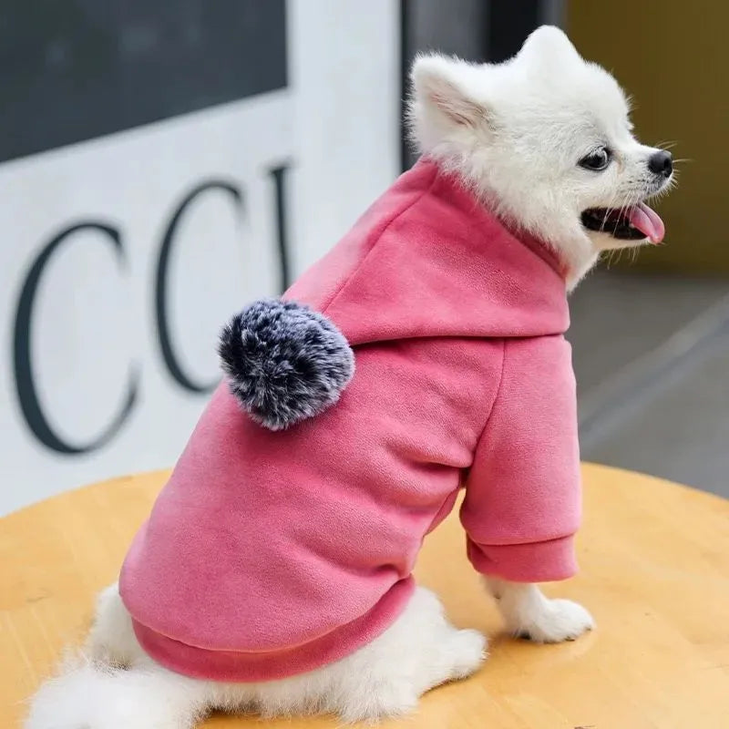 Blue fleece hooded coat for small dogs and cats winter warm outerwear
