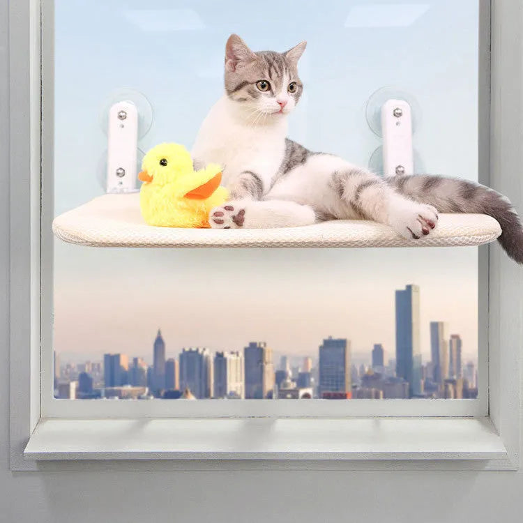 Cat lying on a grey mesh hammock seat attached to a window with suction cups.