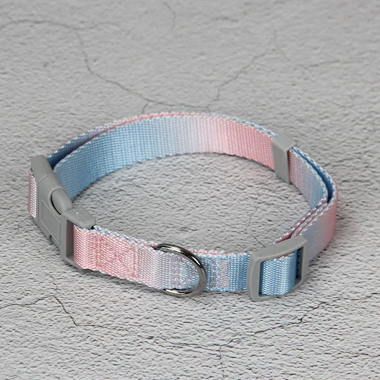 Pink and blue gradient nylon dog leash set with collar and chest strap harness on a white background.
