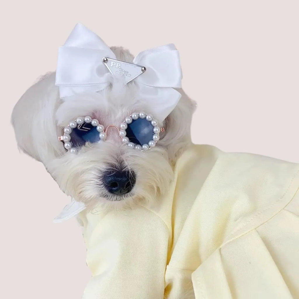 Cat and dog pearl-rimmed round sunglasses in multiple colours for pet party dress-up