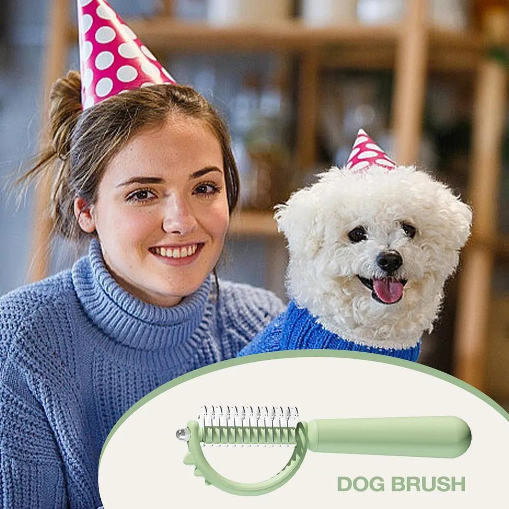Self-cleaning cat brush with cute dinosaur shape, double-sided stainless steel pins, blue colour option