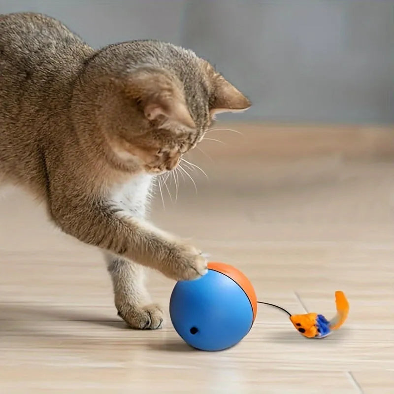 Interactive cat toy ball with blue and orange plush mouse and rolling base on floor