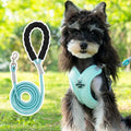 Pink adjustable dog vest harness and matching rope lead set on a white background.