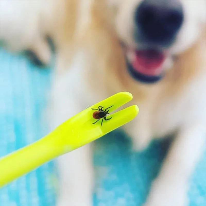 Three plastic tick removal hooks for pet grooming in blue and green colours