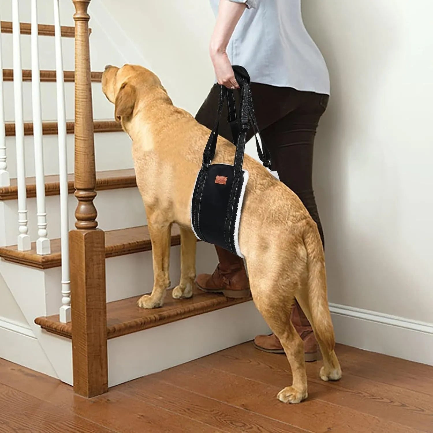 Portable dog sling for hind leg support with adjustable reflective nylon straps and padded handle