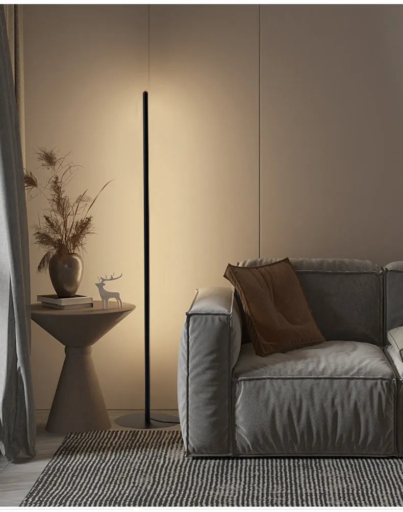 Vertical aluminium alloy floor lamp with a simple modern design and USB plug.