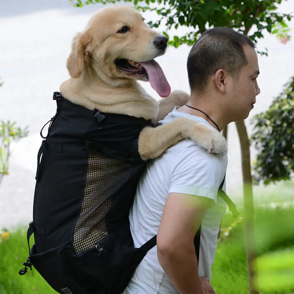 Ventilated pet travel backpack in black with mesh straps and safety buckle for cats and small dogs