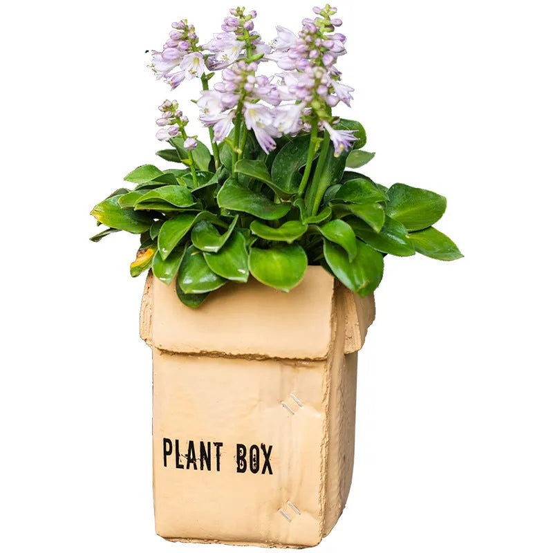Cement flowerpot with brown paper box design and drainage holes for indoor planting