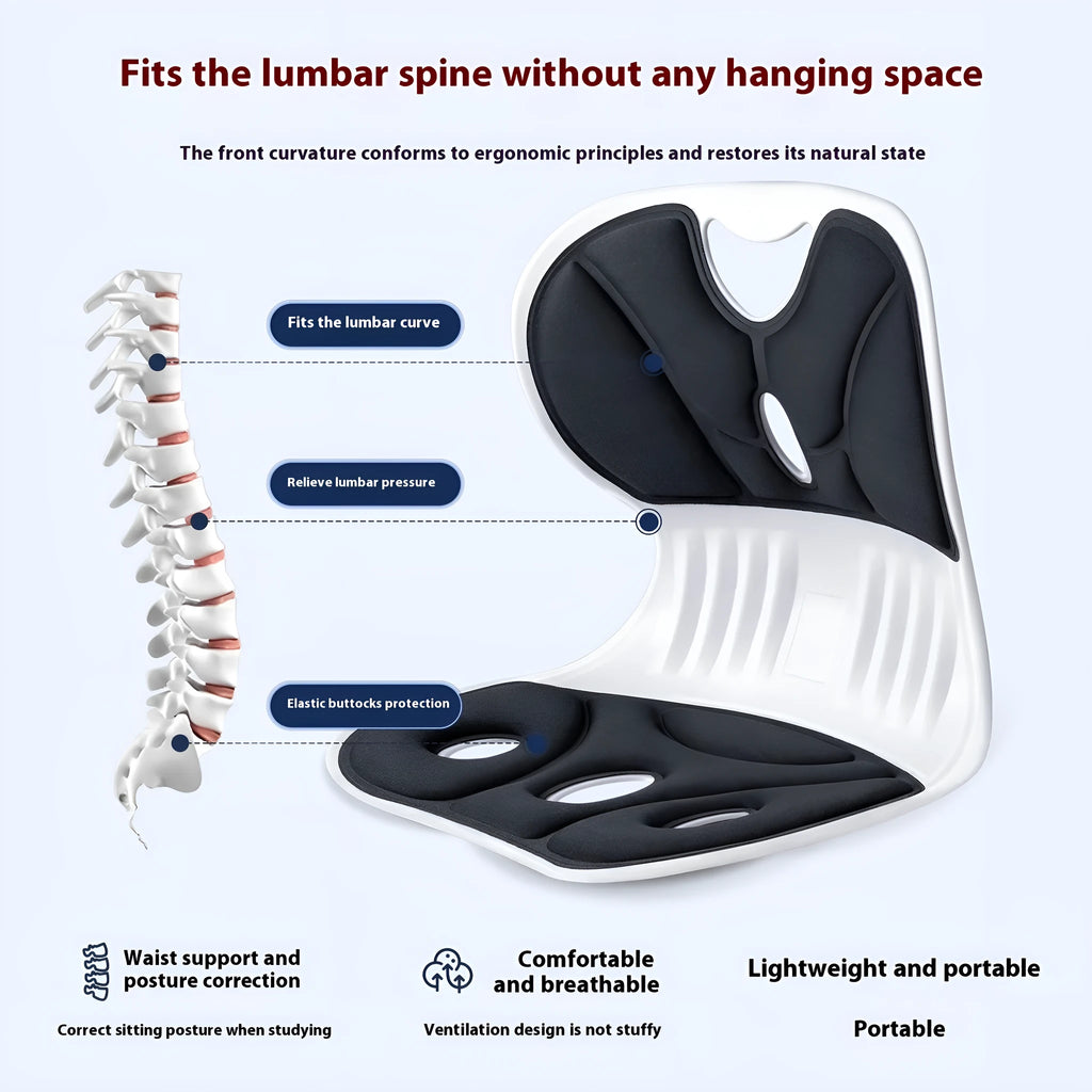 Grey and Black waist support seat cushion with lumbar support design for extended sitting comfort