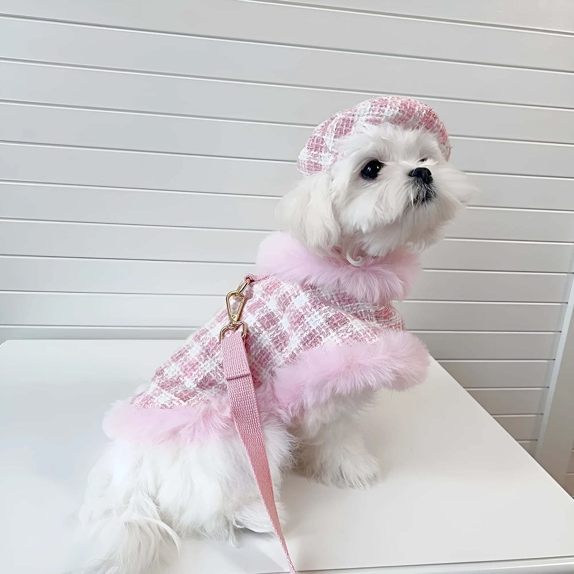 Pink polyester cat clothing set with beret and cape, showing chest and back traction design