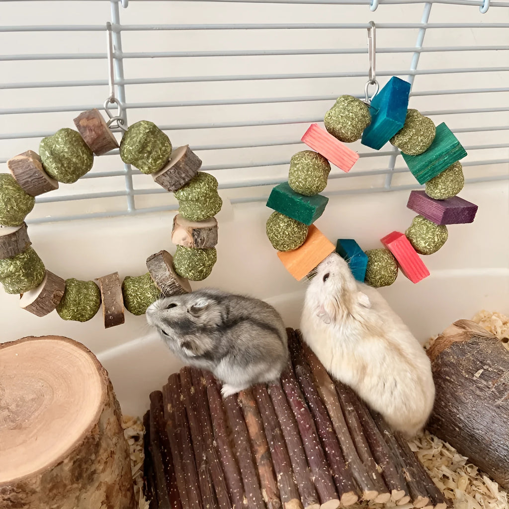 Hamster toy with applewood chew stick and colourful straw ball ring on a white background