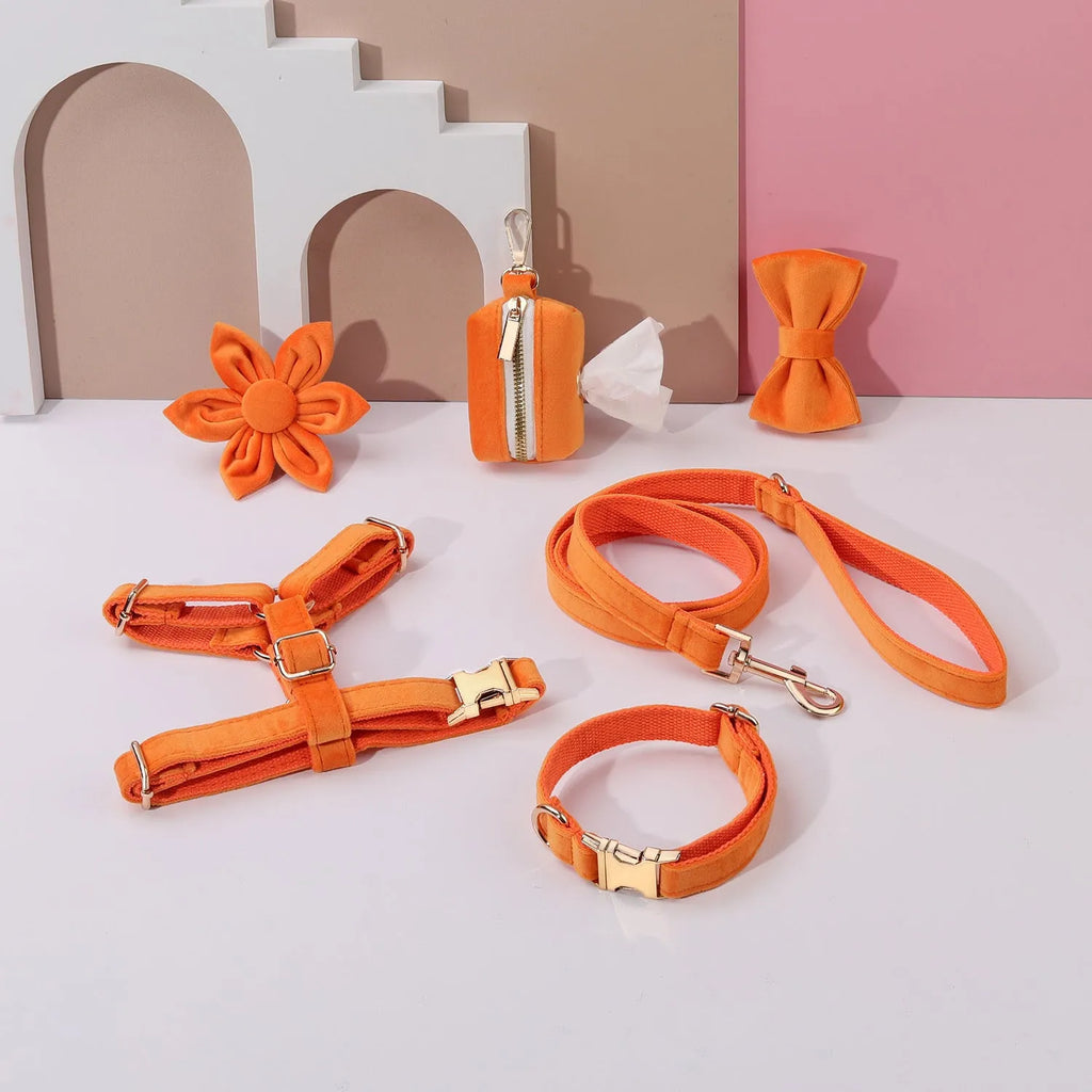 Velvet pet collar and traction rope set with chest strap and decorative bow tie accessories