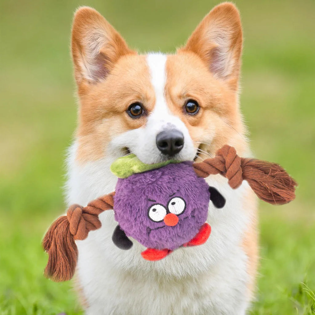 Green interactive dog plush rope knot tug toy with molar tooth chew centre on a white background.