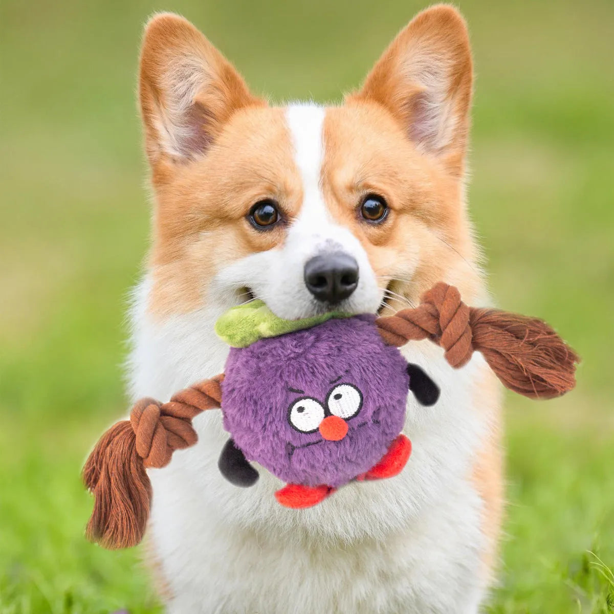 Green interactive dog plush rope knot tug toy with molar tooth chew centre on a white background.