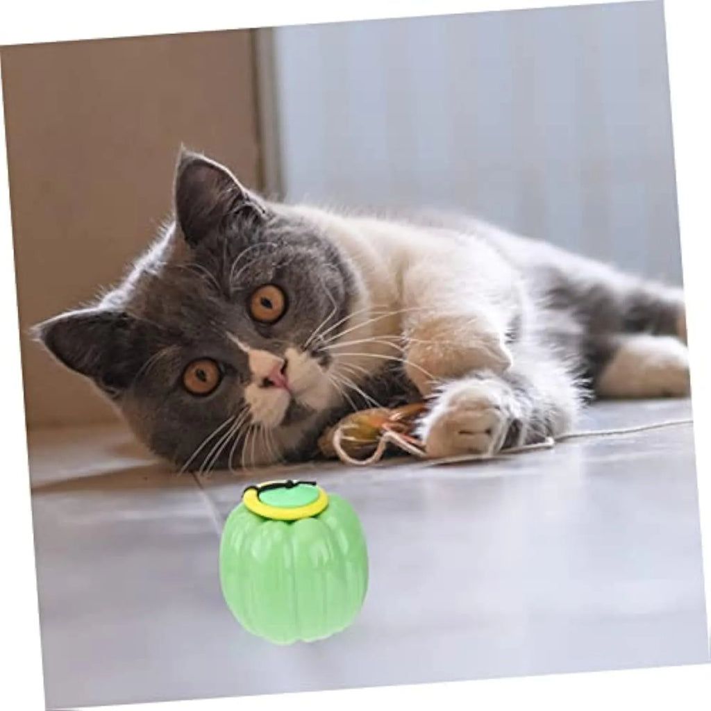 Small orange pumpkin-shaped dog chew toy with squeaker for puppy teething and training