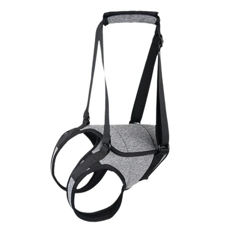 Grey neoprene dog recovery belt for rear leg support with adjustable sizing