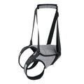 Grey neoprene dog recovery belt for rear leg support with adjustable sizing