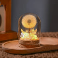 Yongsheng dandelion glass cover night light ornament with gradient colour glow on a bedside table