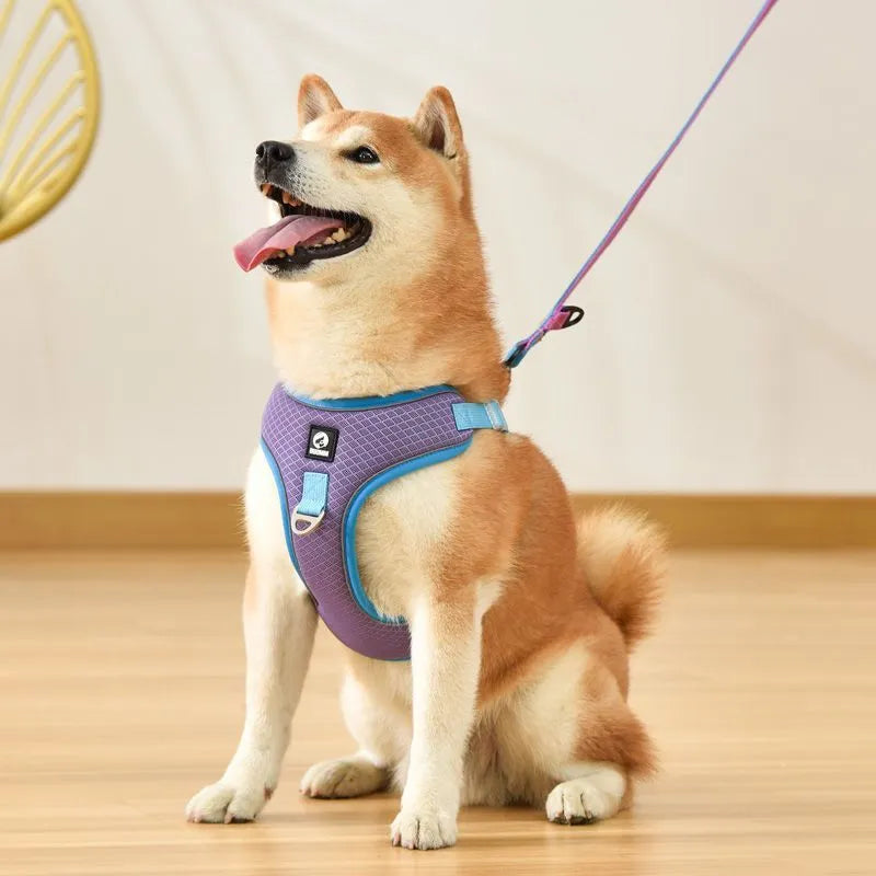 Adjustable dog harness in light purple colour with reflective piping and breathable mesh fabric