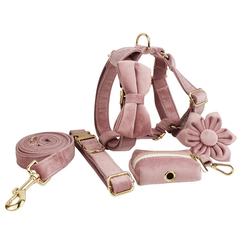 Light purple velvet dog collar with adjustable size for small and medium dogs