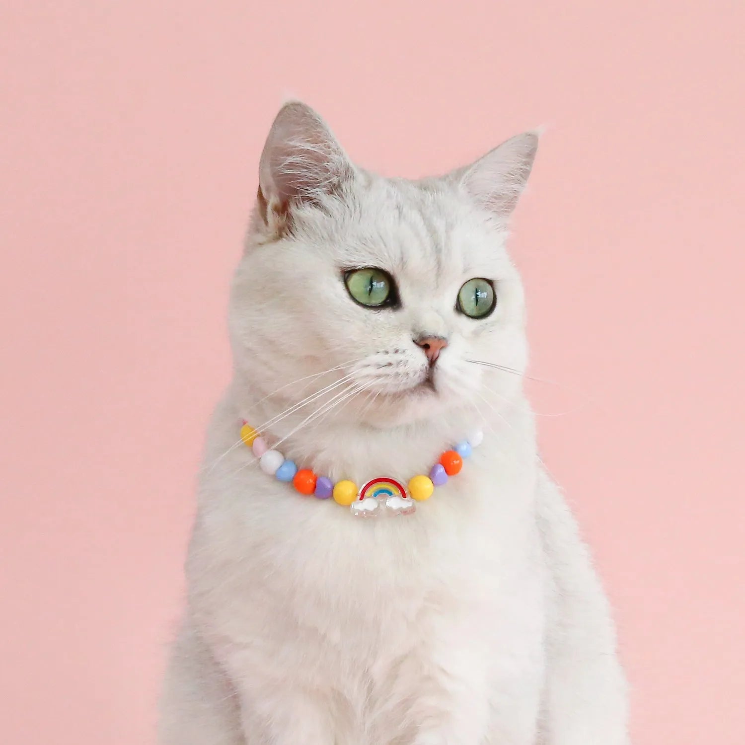 Colourful bead pet necklace for dogs and cats in rainbow, peach, or small flower patterns with adjustable sizing