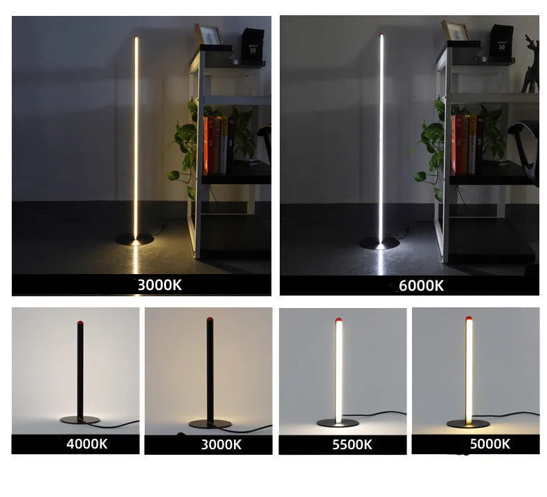 Vertical aluminium alloy floor lamp with a simple modern design and USB plug.