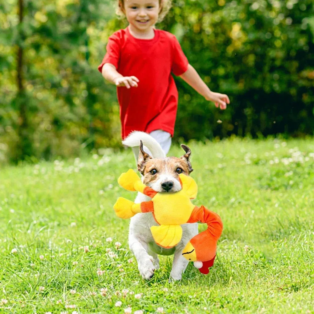 Screaming chicken sound dog chew toy in black, green and orange colours with bite resistant squeaky design