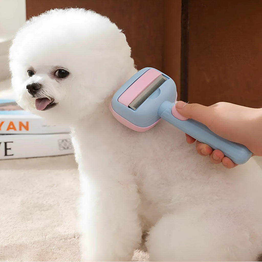 Blue double-sided pet grooming brush with deshedding rake and dematting comb on a white background.