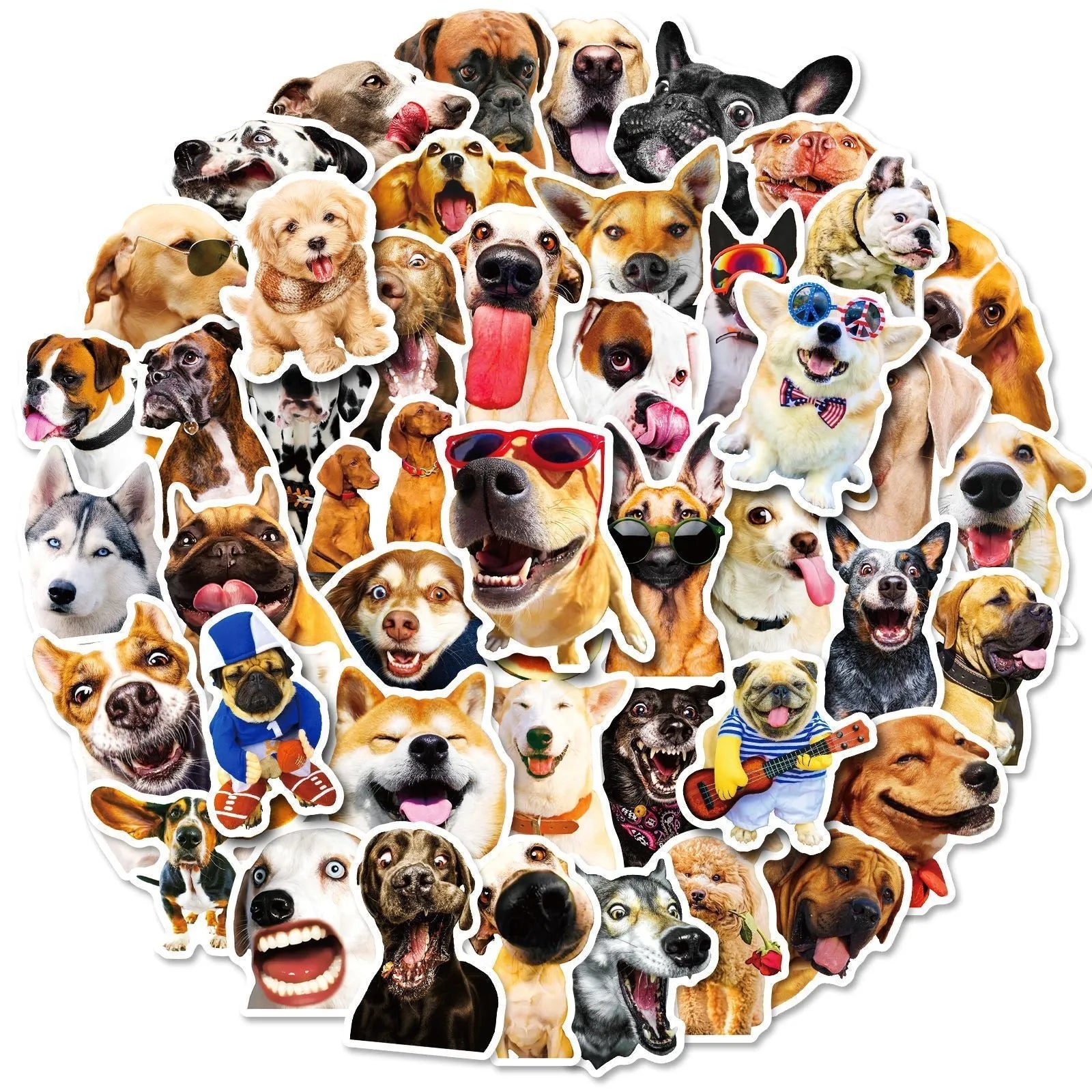 Realistic dog facial expression sticker pack with 100 sheets in Nordic style design