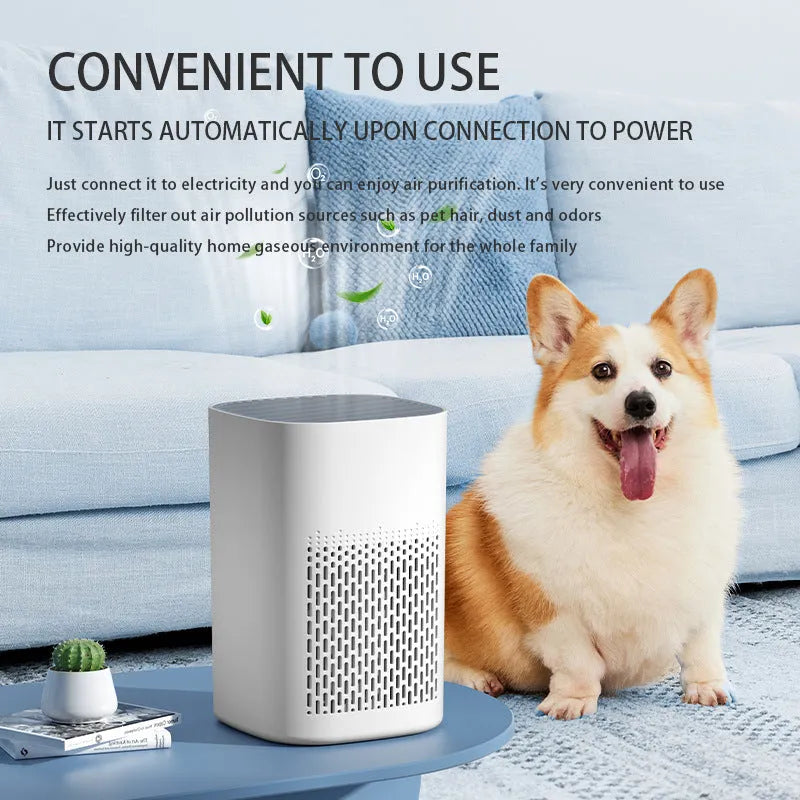 Desktop air purifier unit with simple design for placement on office or home surfaces
