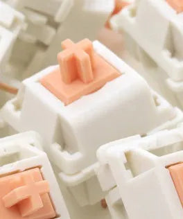 A single clear Panda mechanical keyboard switch for DIY keyboards, shown in a plastic case.